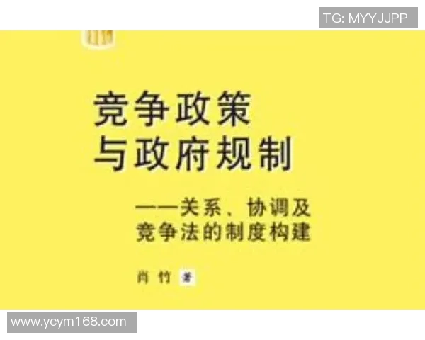 深圳排球队的战术解析与控制体系探讨及其在比赛中的应用策略 深圳排球队的战术解析与控制体系探讨及其在比赛中的应用策略