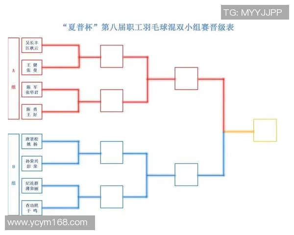 南京羽毛球队防反战术深度解析与实战应用探讨 南京羽毛球队防反战术深度解析与实战应用探讨