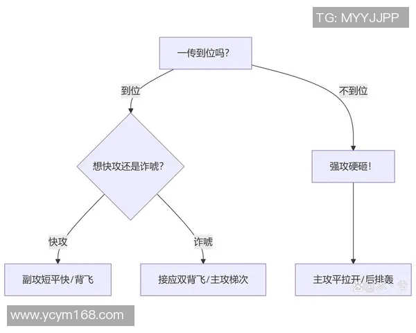 上海排球队进攻战术解析与球队表现的深度剖析 上海排球队进攻战术解析与球队表现的深度剖析
