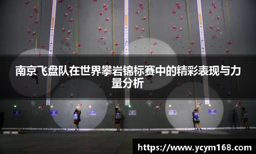 南京飞盘队在世界攀岩锦标赛中的精彩表现与力量分析